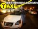 走出国门闯世界 全球各国街头的自主品牌TAXI