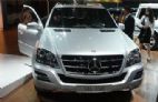2010款奔驰ML350 4MATIC豪华型特别版