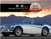 СܳAustin-Healey 100