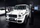 新款AMG G级正式上市 售231.8-381.8万元