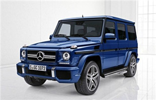 2016AMG G65 5.5TԶEdition463