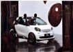 �ڰ�˫ɫ���� smart fortwo��è�淢��