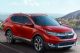 或增加7座SUV 本田新一代CR-V最新消息
