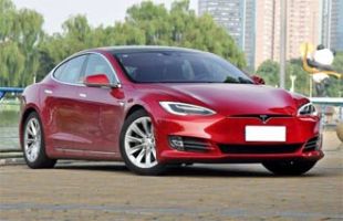 MODEL S(����) 2017�� 100D