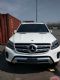 2017GLS450ֳ