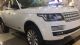 17款加长路虎揽胜行政5.0汽油天津现车