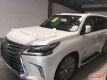 17׿˹LX570жSUV䱨