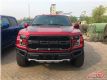 2018F150ݳƤ ׿ԽƷ