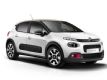 ��13.7�� ѩ����C3 ELLE�ر�泵������