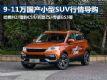 10ĿSUVĿ9-11СSUV