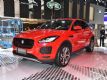 ׿SUV ݱE-PACE8