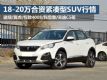 4.8 18-20SUV̵