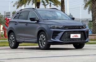 SWM˹G01 2019 1.5T һ սF