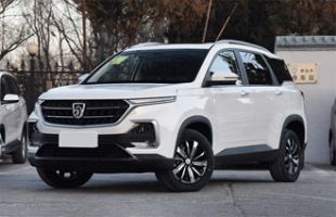 ����530 2019�� 1.5T CVT ��Ӣ��