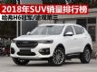 2018SUVа H6һ44