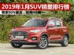 2019��1��SUV�������а� ���ϵSUV����
