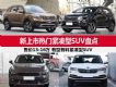 2019 Ŀ13-16SUV̵