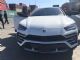 2019款Lambo Urus白/红顶配现车随时提