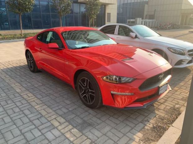 Mustang野马 外观图