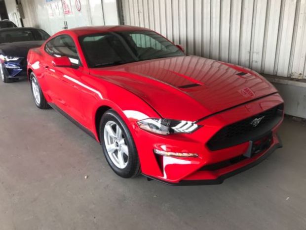 Mustang野马 外观图