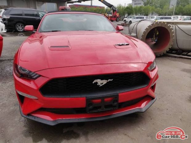 Mustang野马 外观图
