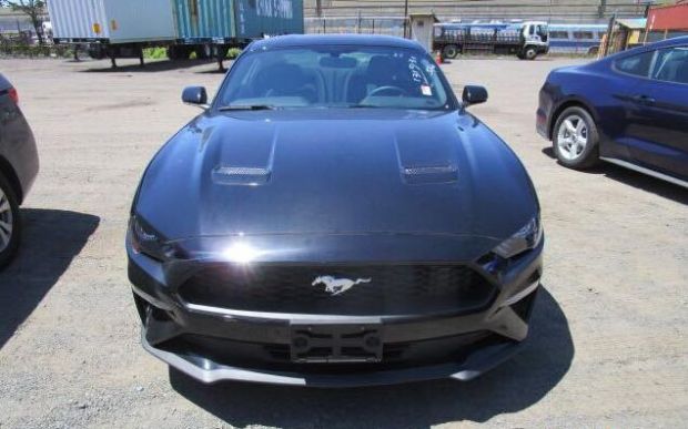 Mustang野马 外观图 Mustang野马 外观图