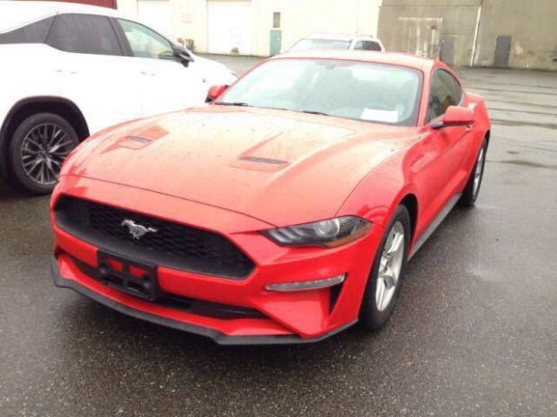 Mustang野马 外观图 Mustang野马 外观图