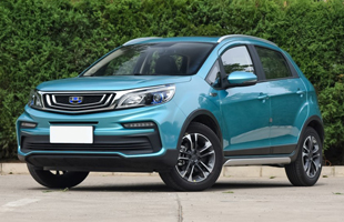 ԶX3 2019  1.5L ֶ Ӣ