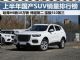 上半年国产SUV销量排行榜 哈弗H6卖18万辆