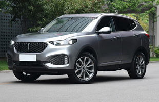 WEY VV6 2020�� 2.0T ˫��� ���� Collie����+