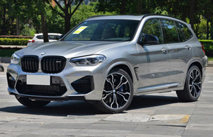 X3 M 2019 X3 M 