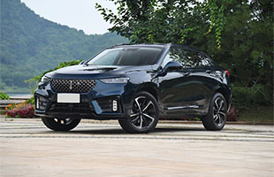 WEY VV7 GT 2020 2.0T 콢