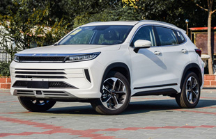 ;LX 2019 1.6T ˫ 