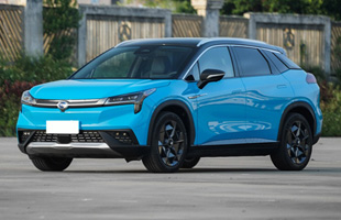 Aion LX 2019 80D Max