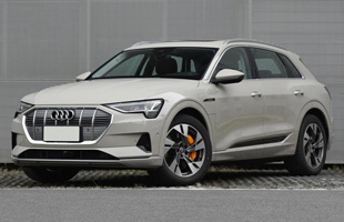 µe-tron 2020 55 quattro ʱа