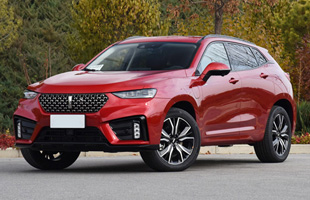 WEY VV7 PHEV 2020 2.0T ˫ 콢