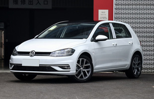 ߶ 2020 GTI 2.0TSI ˫