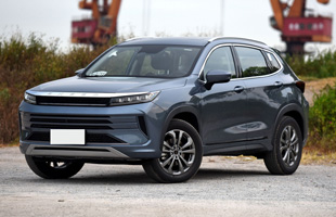 ;LX 2020 1.6T ˫ 