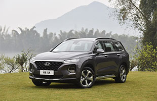 20 380 TGDi DLX һ  (HTRAC)