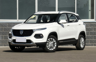 21�� 1.5L �ֶ� ������