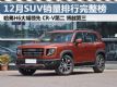 12SUVаܰ Ʒƴ󱬷