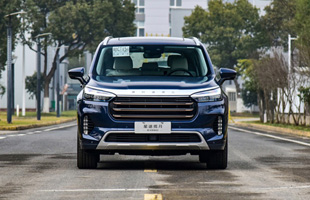 21�� 290T ���� ������