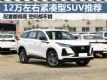 12ҴռSUVƼ