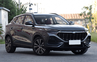 21�� 1.6L CVT ������