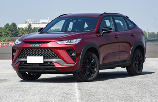 21�� 1.5T DHT���ܰ�