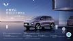 ������SUV ����������ʽ����ä�� 9������