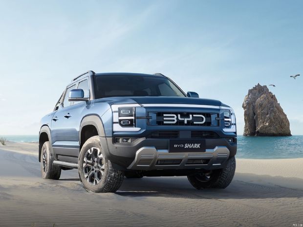 比亚迪 BYD SHARK 2024款 基本型