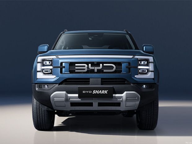 比亚迪 BYD SHARK 2024款 基本型