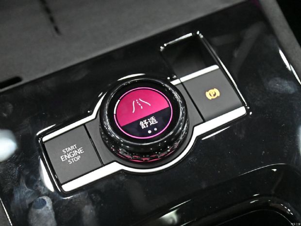 上汽大众 途观L 2024款 PRO 380TSI 四驱R-Line破境版