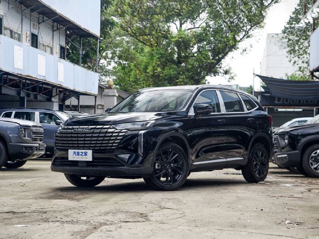 长城汽车 哈弗H6 2024款 2.0T 两驱Max